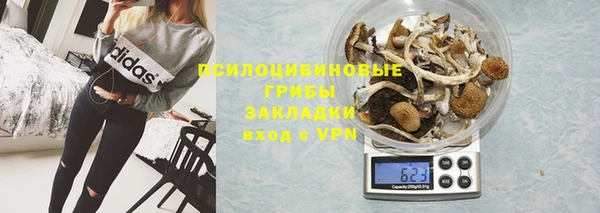 гашик Аркадак